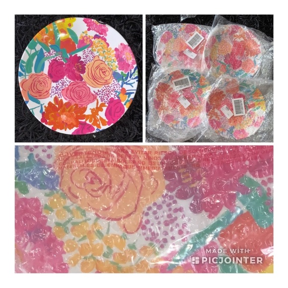 NWT ANTHROPOLOGIE 10.5” Paint+Petals Melamine Plates Set of 5 Bridgette Thornton